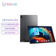 Lenovo联想平板电脑小新PadPro21款Pro8G+256GWiF灰
