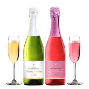 PLUS会员：彭索酒庄气泡红酒红葡萄酒两支装组合750ml*2