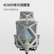 SIHOO 西昊 M92 人体工学椅