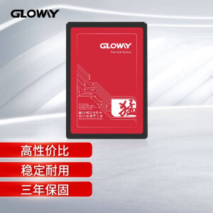 GLOWAY 光威 猛将系列 SATA3 固态硬盘 120GB