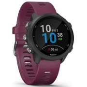 Garmin 佳明 Forerunner 245 运动智能手表（非音乐版）