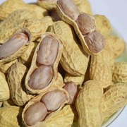 法思觅语龙岩水煮花生500g