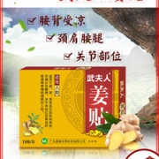 武夫人  颈肩腰腿艾灸热敷生姜贴  10贴