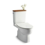 KOHLER 科勒 瑞琦系列 K-18644T-SLF 智纳静音式马桶 400mm坑距