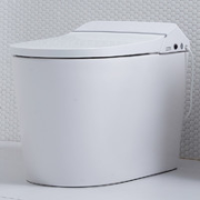 Tiny mu 小沐 ZNJ600-FRQKC-C71 智能马桶一体机 pro版 305mm