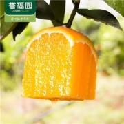 京东极速版：誉福园 湖南冰糖橙甜橙 5斤装