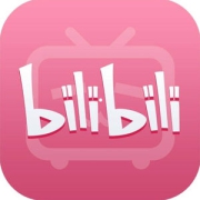 哔哩哔哩 B站VIP 12个月