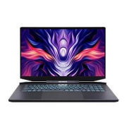 MECHREVO机械革命钛钽PLUS17.3英寸游戏本（i7-11800H、16GB、512GB、RTX3070）