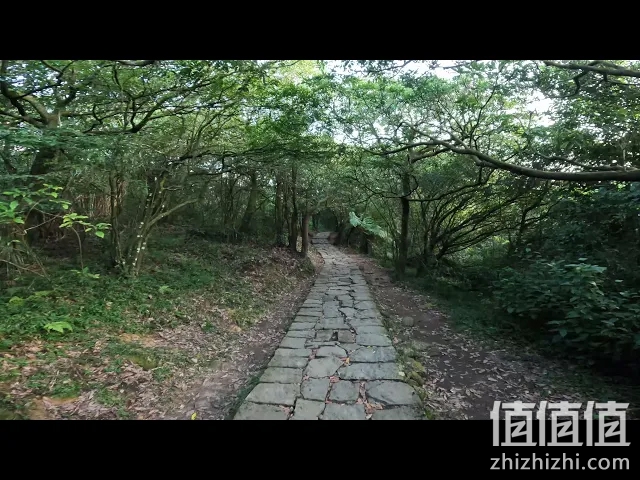 GoPro HERO10 Black 评测：整体性能提升 影片稳定更有感