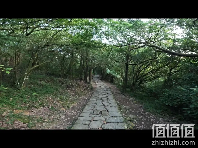 GoPro HERO10 Black 评测：整体性能提升 影片稳定更有感