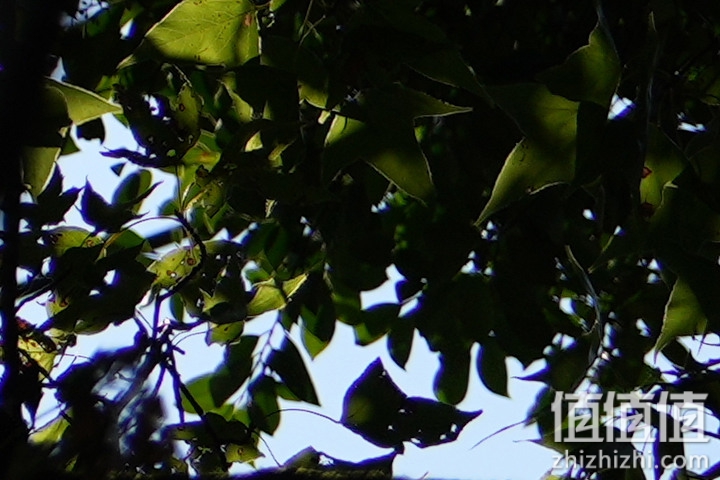 Sony FE 70-200mm f/2.8 GM OSS II 评测：全方位进化 同级最轻巧