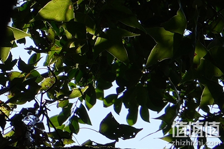 Sony FE 70-200mm f/2.8 GM OSS II 评测：全方位进化 同级最轻巧