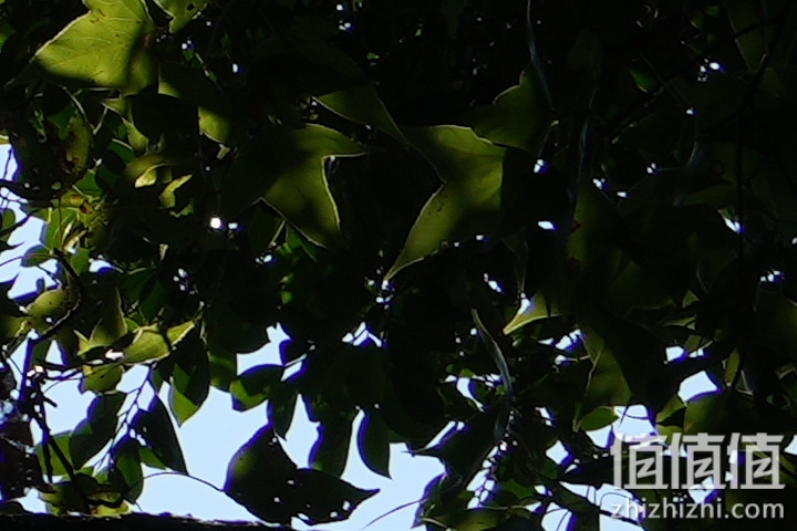 Sony FE 70-200mm f/2.8 GM OSS II 评测：全方位进化 同级最轻巧