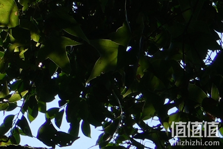 Sony FE 70-200mm f/2.8 GM OSS II 评测：全方位进化 同级最轻巧