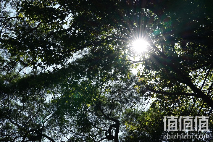 Sony FE 70-200mm f/2.8 GM OSS II 评测：全方位进化 同级最轻巧