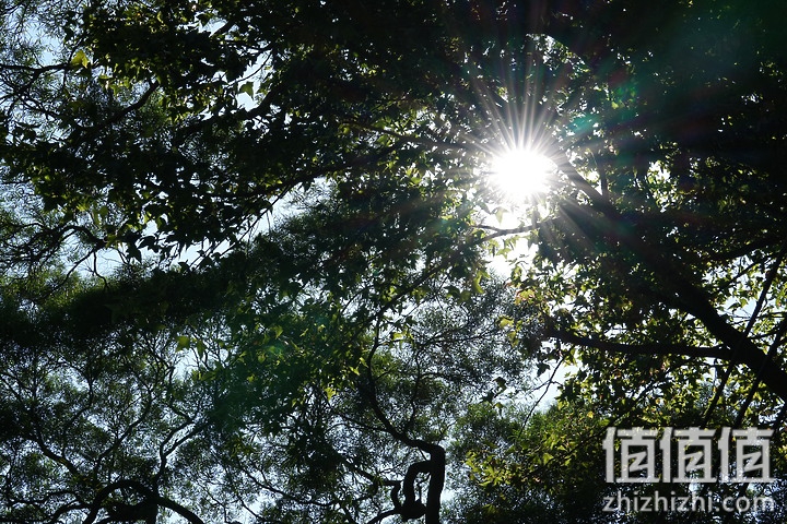 Sony FE 70-200mm f/2.8 GM OSS II 评测：全方位进化 同级最轻巧