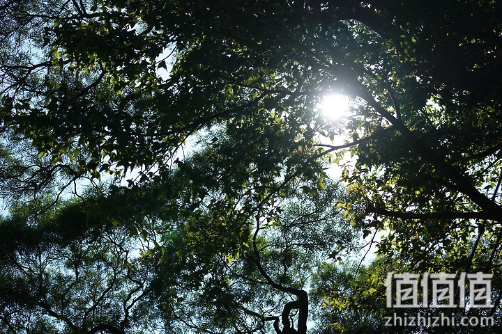 Sony FE 70-200mm f/2.8 GM OSS II 评测：全方位进化 同级最轻巧