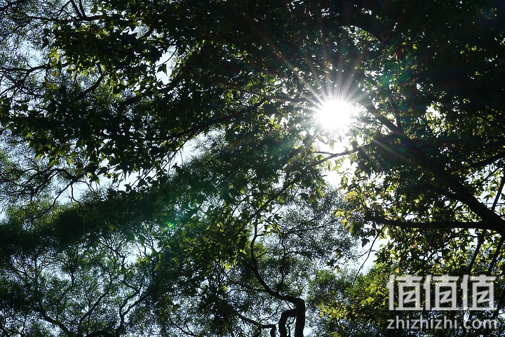 Sony FE 70-200mm f/2.8 GM OSS II 评测：全方位进化 同级最轻巧