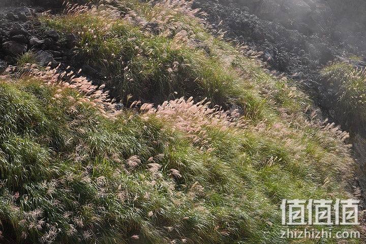 Sony FE 70-200mm f/2.8 GM OSS II 评测：全方位进化 同级最轻巧