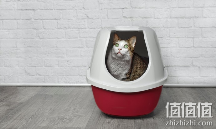 猫砂垫怎么选？猫砂垫选购指南