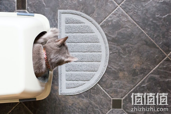 猫砂垫怎么选？猫砂垫选购指南