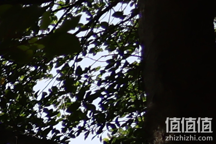 Canon RF 16mm f/2.8 STM 评测：平价且物超所值的大光圈超广角镜头！