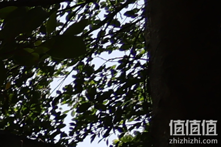 Canon RF 16mm f/2.8 STM 评测：平价且物超所值的大光圈超广角镜头！