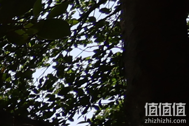 Canon RF 16mm f/2.8 STM 评测：平价且物超所值的大光圈超广角镜头！