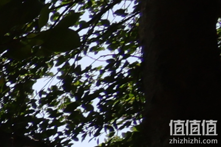 Canon RF 16mm f/2.8 STM 评测：平价且物超所值的大光圈超广角镜头！
