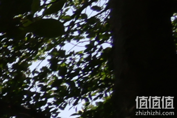 Canon RF 16mm f/2.8 STM 评测：平价且物超所值的大光圈超广角镜头！