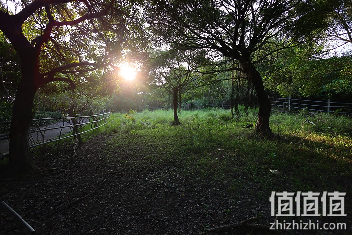 Canon RF 16mm f/2.8 STM 评测：平价且物超所值的大光圈超广角镜头！
