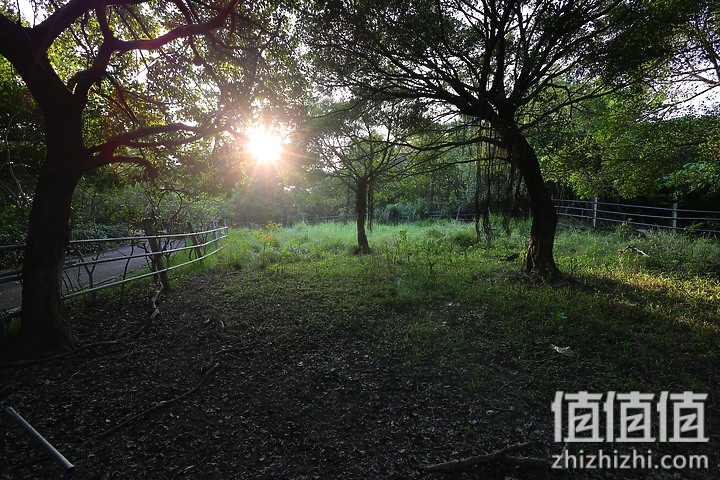 Canon RF 16mm f/2.8 STM 评测：平价且物超所值的大光圈超广角镜头！