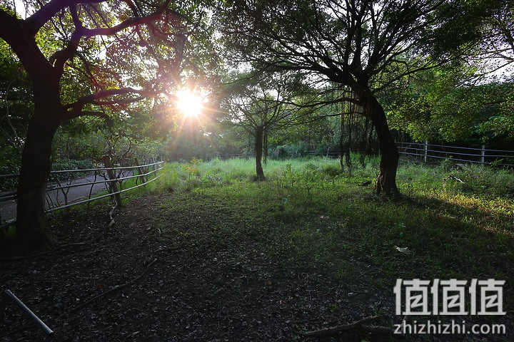 Canon RF 16mm f/2.8 STM 评测：平价且物超所值的大光圈超广角镜头！
