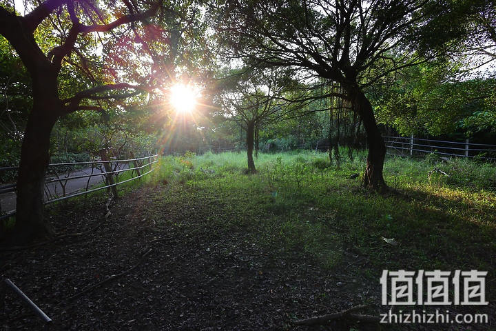 Canon RF 16mm f/2.8 STM 评测：平价且物超所值的大光圈超广角镜头！