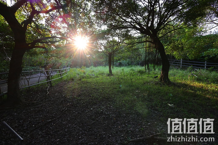 Canon RF 16mm f/2.8 STM 评测：平价且物超所值的大光圈超广角镜头！