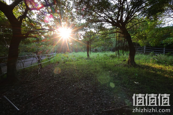 Canon RF 16mm f/2.8 STM 评测：平价且物超所值的大光圈超广角镜头！