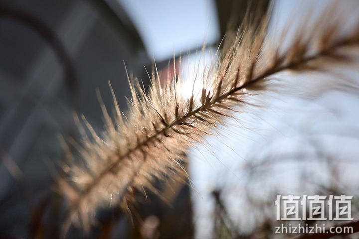 Canon RF 16mm f/2.8 STM 评测：平价且物超所值的大光圈超广角镜头！