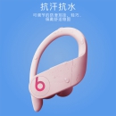 Beats Powerbeats Pro 完全无线高性能耳机 真无线蓝牙运动耳机 云彩粉