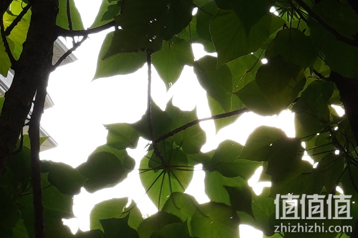 SIGMA 适马 24mm F2 DG DN 评测：大光圈遇上小广角，表现可圈可点
