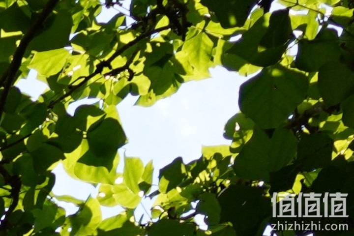 SIGMA 适马 24mm F2 DG DN 评测：大光圈遇上小广角，表现可圈可点