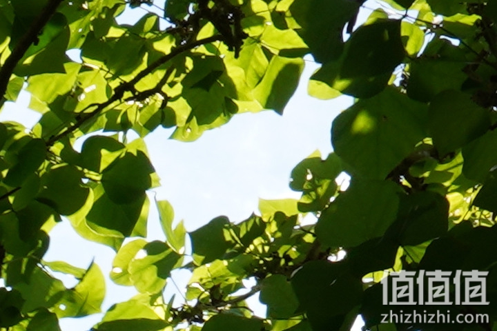 SIGMA 适马 24mm F2 DG DN 评测：大光圈遇上小广角，表现可圈可点
