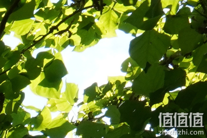 SIGMA 适马 24mm F2 DG DN 评测：大光圈遇上小广角，表现可圈可点