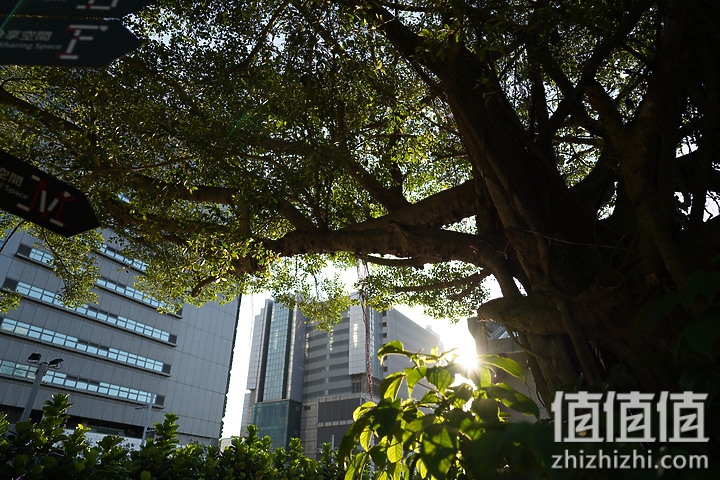 SIGMA 适马 24mm F2 DG DN 评测：大光圈遇上小广角，表现可圈可点