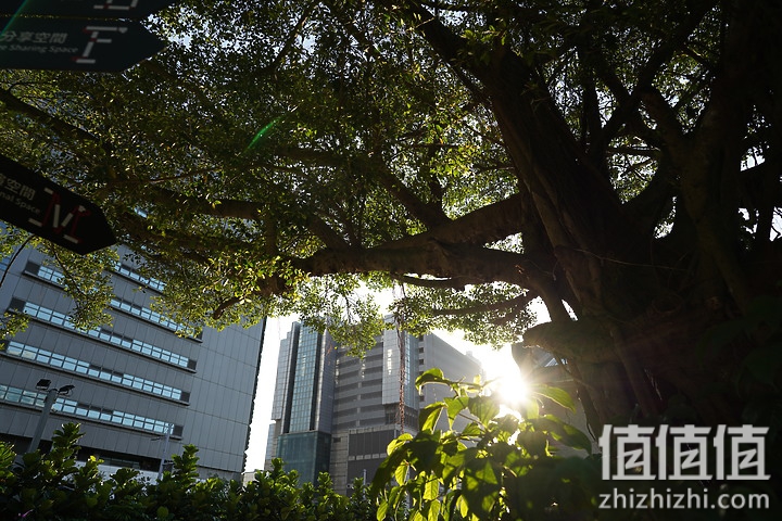 SIGMA 适马 24mm F2 DG DN 评测：大光圈遇上小广角，表现可圈可点
