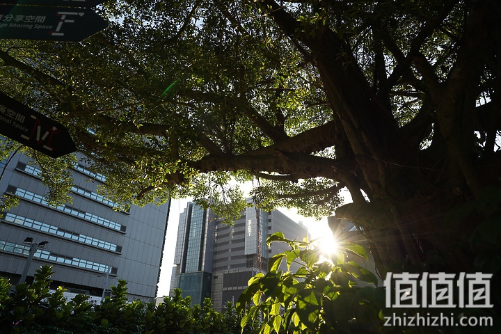 SIGMA 适马 24mm F2 DG DN 评测：大光圈遇上小广角，表现可圈可点