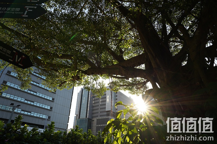 SIGMA 适马 24mm F2 DG DN 评测：大光圈遇上小广角，表现可圈可点