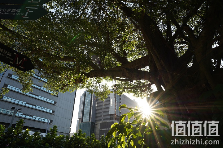SIGMA 适马 24mm F2 DG DN 评测：大光圈遇上小广角，表现可圈可点