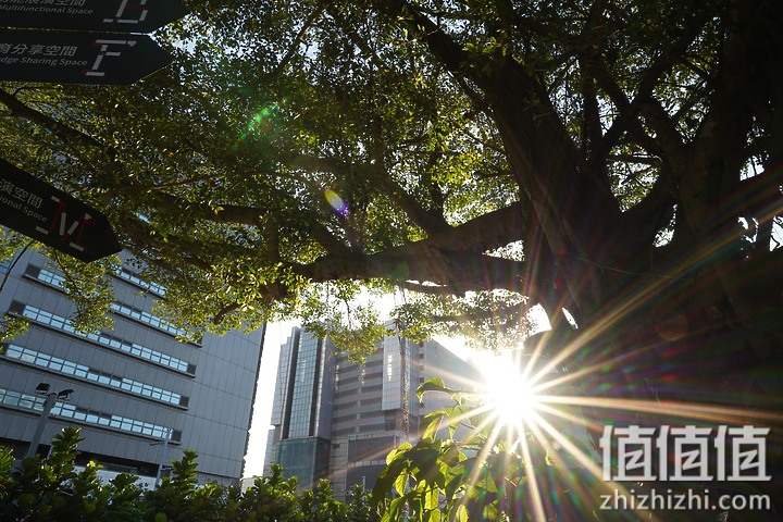 SIGMA 适马 24mm F2 DG DN 评测：大光圈遇上小广角，表现可圈可点