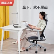 igrow爱果乐IC260DZ-H1人体工学电脑椅青春版