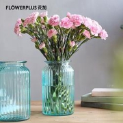 PLUS会员：FlowerPlus花加随机色勿忘我鲜花1束+随机花瓶